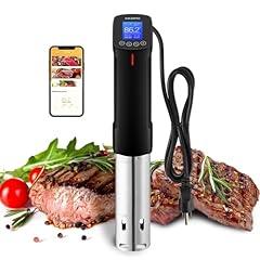 Inkbird WIFI Sous Vide Cooker ISV-100W