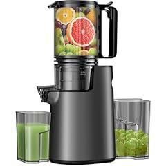LQZ Cold Press Masticating Juicer 350W