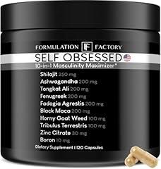 Self Obsessed: 10-in-1 Masculinity Maximizer for Men