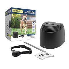 PetSafe Stay & Play Wireless Pet Fence