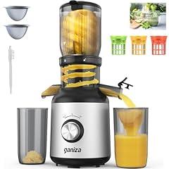 Ganiza Cold Press Slow Juicer