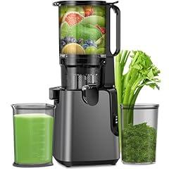 YPONE Cold Press Juicer Titanium Gray