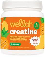Wellah Pump-It-Up Creatine Pineapple Mango