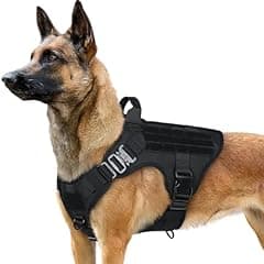 Rabbitgoo Tactical Dog Harness Large