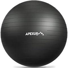 APEXUP XL Yoga Stability Ball