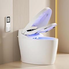 Loupusuo Smart Bidet Toilet with Dryer