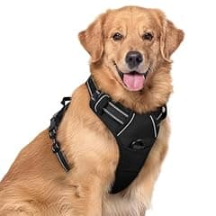 Rabbitgoo No-Pull Dog Harness Large