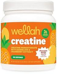 Wellah Pump-It-Up Creatine Pineapple Mango