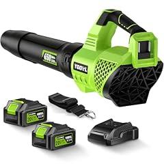 YOOVL Cordless Leaf Blower 650CFM
