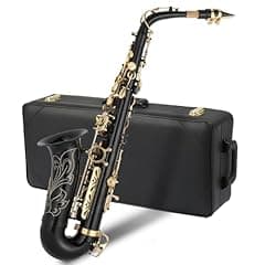 GODECOR Alto Saxophone with Accessories for Beginners