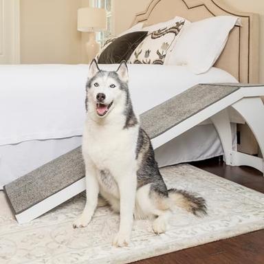 bed ramp for dogs