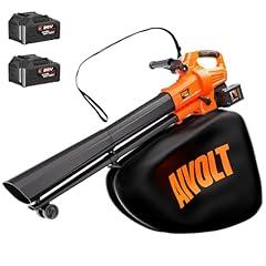 AIVOLT Cordless Leaf Vacuum Mulcher Combo