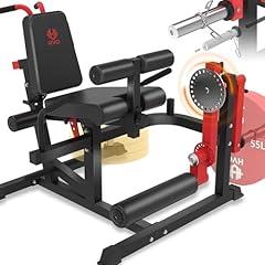 HVO Leg Extension and Curl Machine