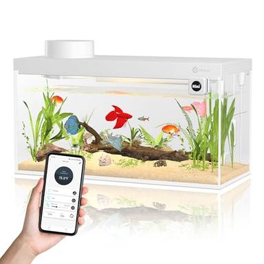 betta fish kit