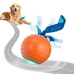 Pubialo Interactive Electric Dog Ball Toy