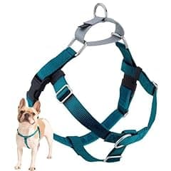 2 Hounds Design Freedom No Pull Dog Harness