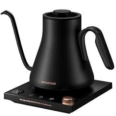 Intasting Gooseneck Electric Kettle 0.9L
