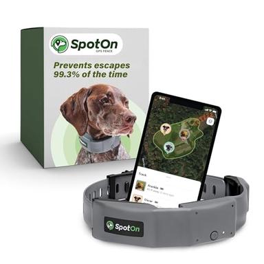 Wireless Dog Fence