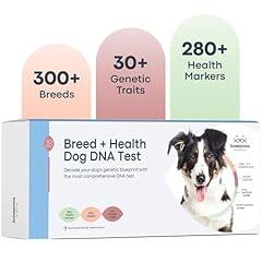 Basepaws Dog DNA Testing Kit