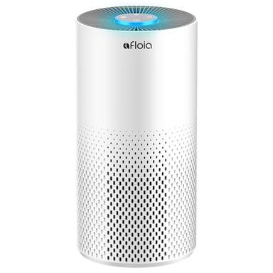 air purifier allergy relief