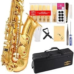 Glory Gold Lacquer E Flat Alto Saxophone with Accessories