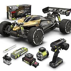 RIAARIO 1/10 Brushless RC Car