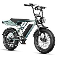 Jasion RetroVolt Pro Electric Dirt Bike