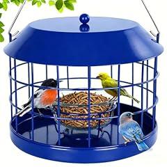 Gbekery Bluebird Mealworm Feeder with Glass Bowl
