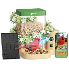 Birdfy Rookie Solar Bird Feeder Camera