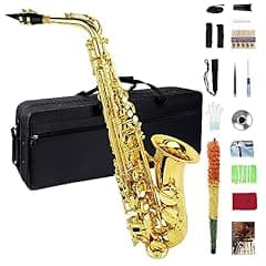 Eb Alto Saxophone for Beginners and Professionals