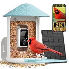 NETVUE Birdfy Smart Bird Feeder Camera