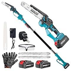 Autubin Cordless Pole and Mini Chainsaw