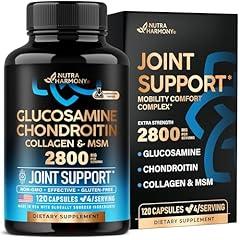 Glucosamine Chondroitin Joint Support Supplement