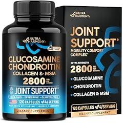 Glucosamine Chondroitin Joint Support Supplement