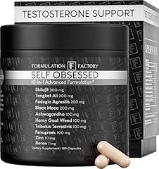 Self Obsessed: 10-in-1 Masculinity Maximizer for Men