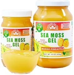 EverSmith Organics Wildcrafted Irish Sea Moss Gel, Mango Pineapple (16 oz)