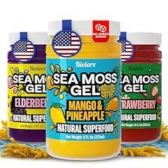Biolore Sea Moss Gel Starter Pack