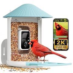 NETVUE Birdfy Smart Bird Feeder Camera