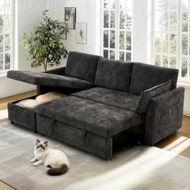 sofa with pullout bed