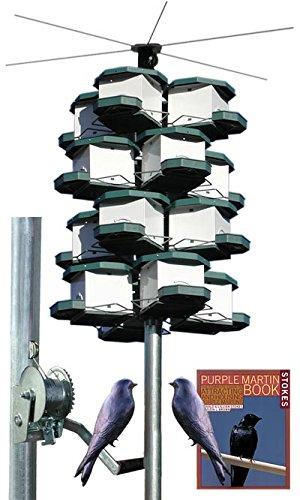 purple martin bird house