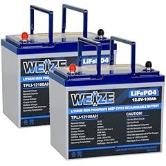 WEIZE 12V 100Ah LiFePO4 Lithium Battery