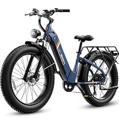 Jasion Thunder Electric Fat Tire Bike