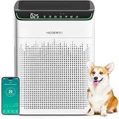 Morento Air Purifier with HEPA Filters