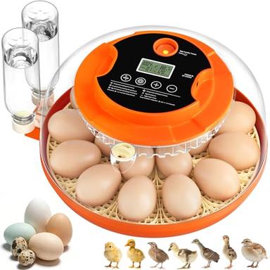 egg incubator
