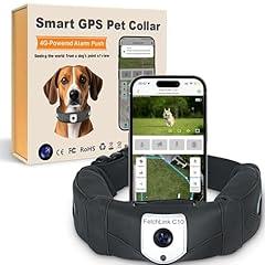 Advanced GPS Dog Fence with Camera & Night Light