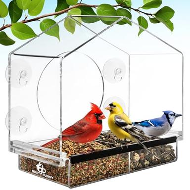 window bird feeder