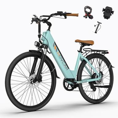 adult electric bicycle