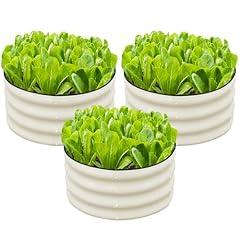 SnugNiture Round Galvanized Raised Garden Bed Kit