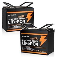 GRNOE LiFePO4 12V 100Ah Battery Pack
