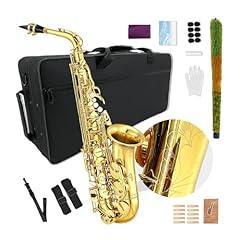YoungMonic Alto Saxophone Beginner Kit